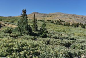 tundra edge Colorado 02 September 2024