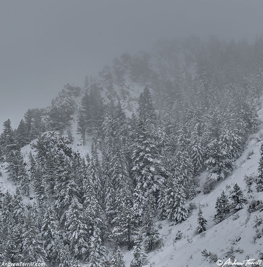 snowstorm mount galbraith - 7 november 2024