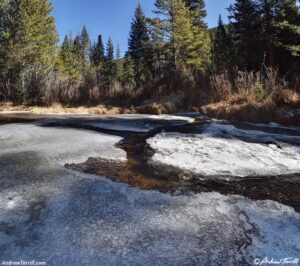 ice on the forest river colorado 2 november 2024