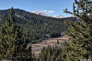 snowy peaks above the forest colorado 2 november 2024