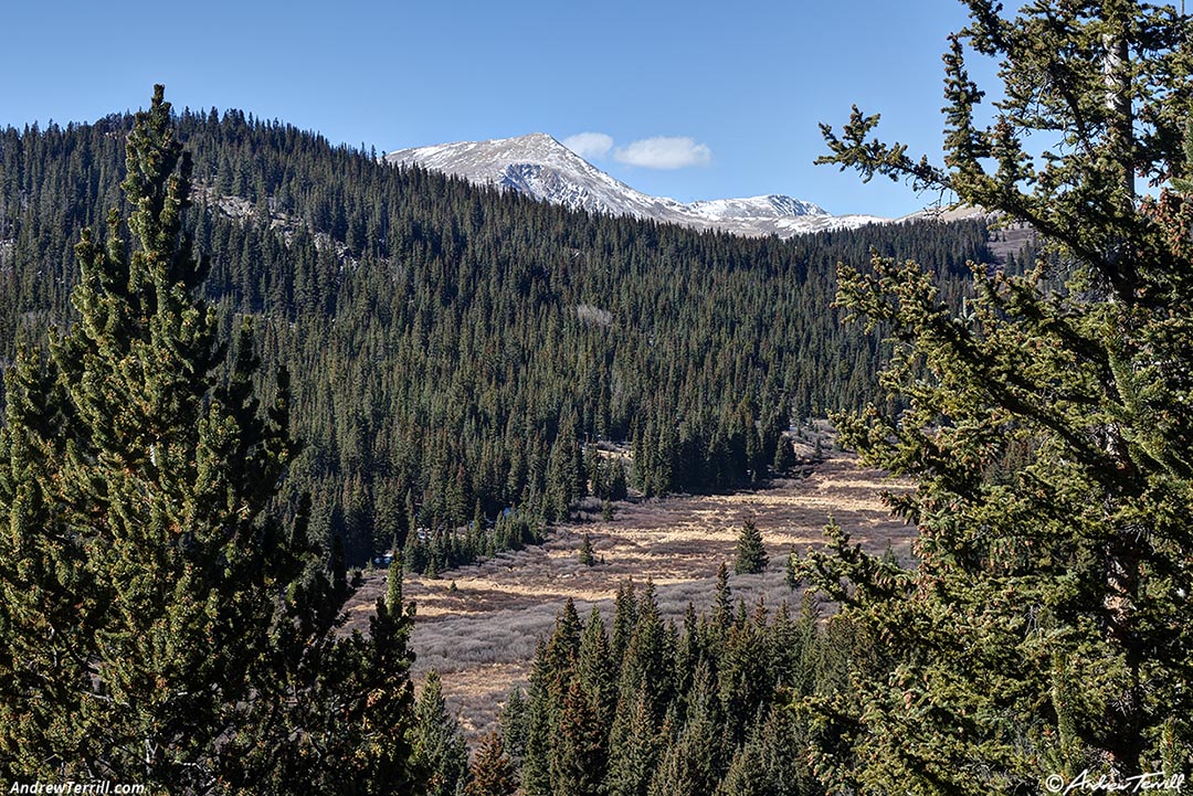 snowy peaks above the forest colorado 2 november 2024