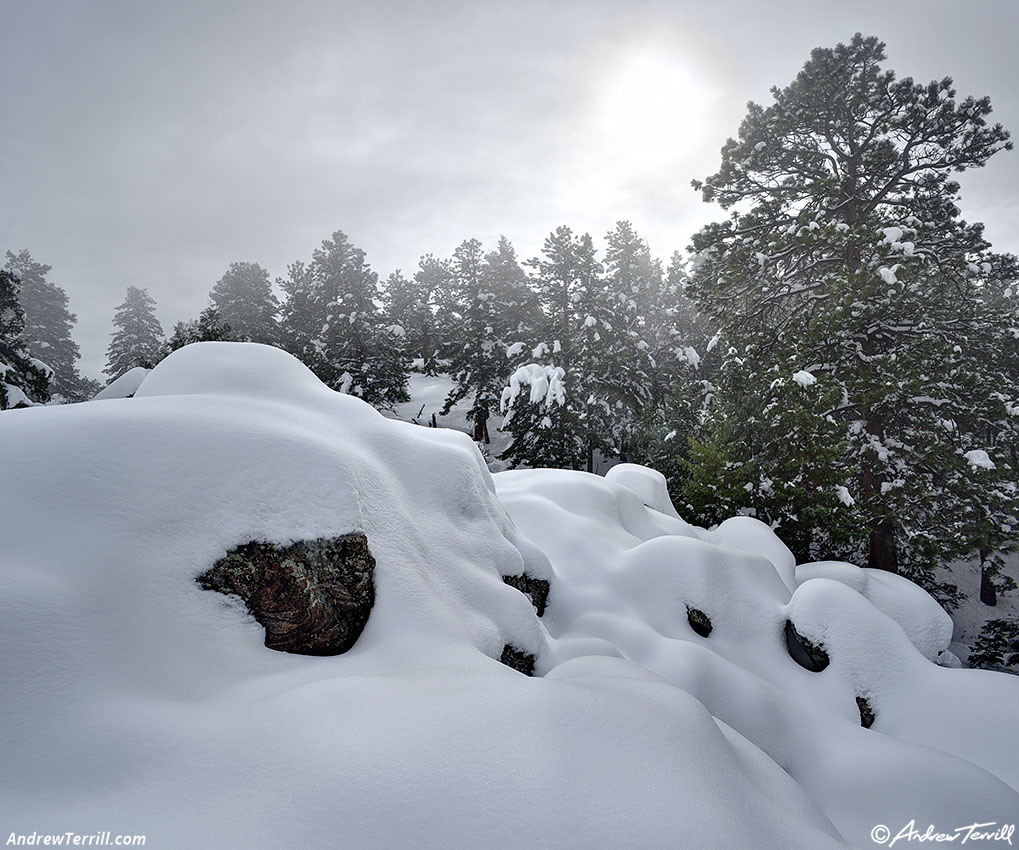 snow and sun Golden - 8 november 2024