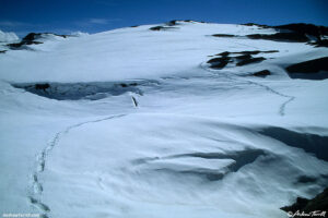 snow shoe tracks across norway 6 may 1998