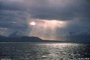 sunbeams norway october 1998