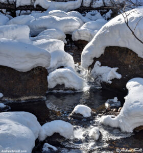 winter creek colorado 30 November 2024