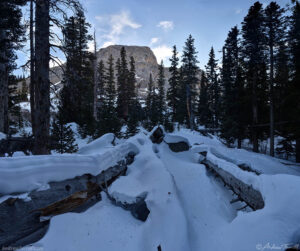 winter forest colorado 1 December 2024