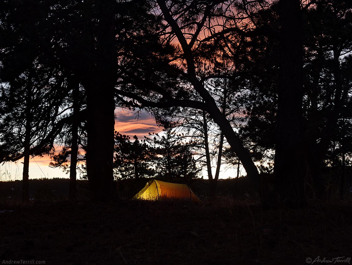 A ponderosa forest camp evening winter solstice 21 december 2024