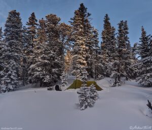 winter camp morning light forest 31 december 2024