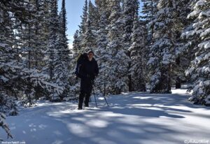 hiking in the winter forest 31 december 2024