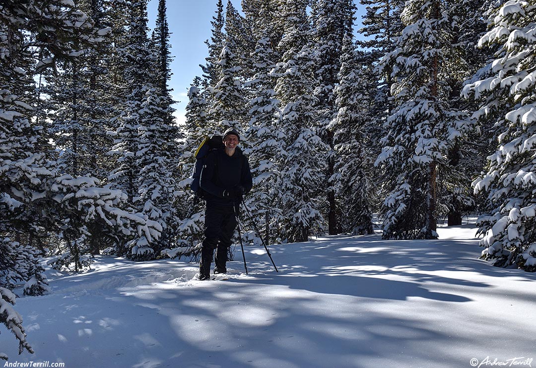 hiking in the winter forest 31 december 2024