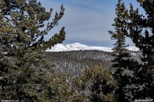 james peak winter forest 31 december 2024