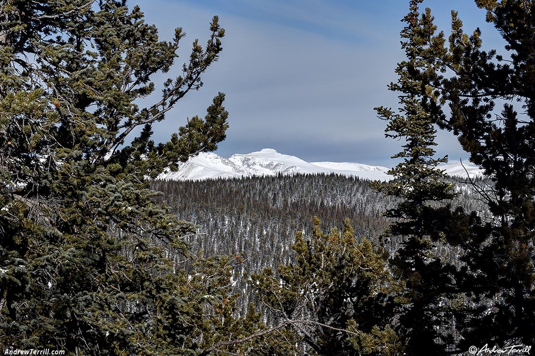 james peak winter forest 31 december 2024