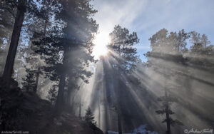 lookout mountain january 6 2025