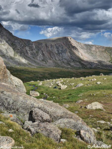 wild camp - 3 aug 2025