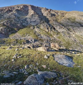 evening light - 3 aug 2025