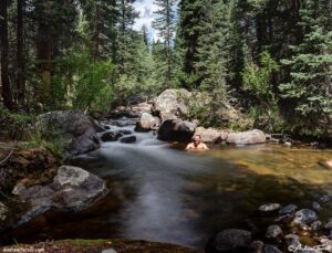 forest soak - 4 aug 2025