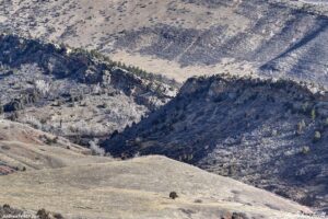 foothills - january 31 2026