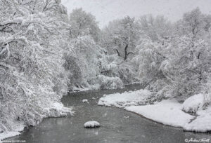 Creek and snowstorm