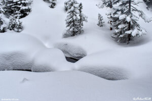 deep soft snow - Rocky Mountain National Park - 6 March 2026