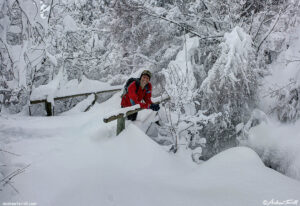 bridge along the trail