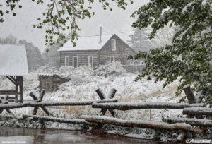 golden history park snow April 17 2026