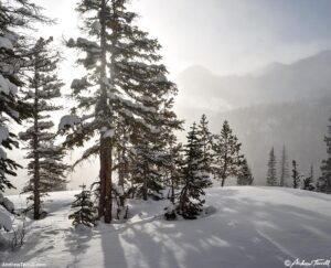 igloo - 7 march 2026