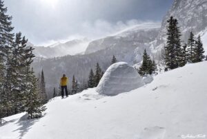 igloo - 7 march 2026