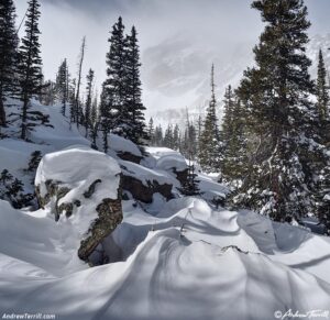 wild day - 7 march 2026