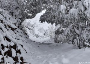 may snow 5-6-26