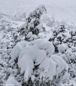 may snow 5-6-26