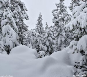 may snow 5-6-26