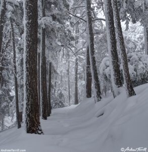 may snow 5-6-26