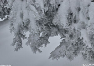 may snow 5-6-26