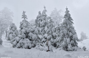 may snow 5-6-26