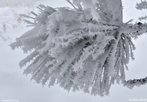 may snow 5-6-26