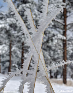 may snow 5-6-26